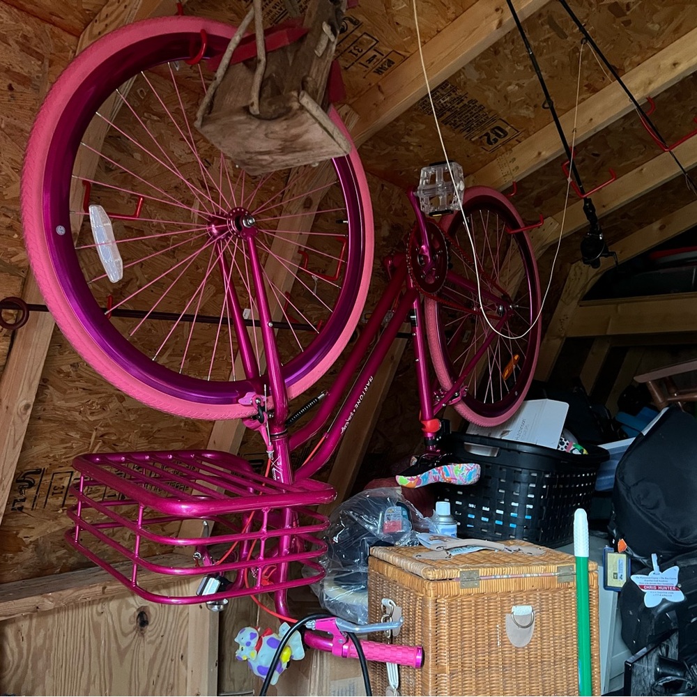Lilly Pulitzer Pink Bicycle with Basket
